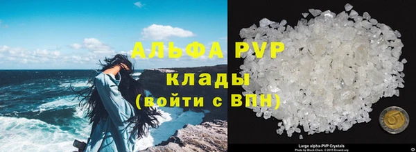 гидра Михайлов