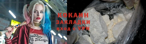 шишки Михайловск