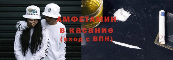 шишки Михайловск