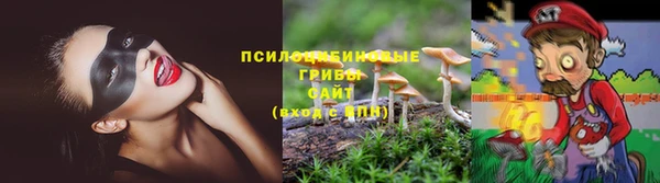 гидра Михайлов