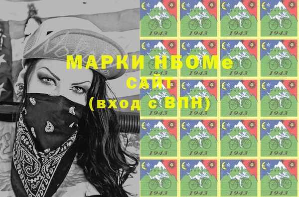 шишки Михайловск