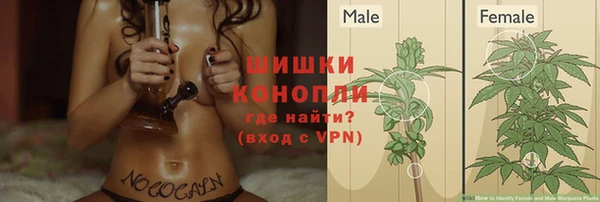 трава Надым