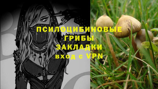 амф Тобольск