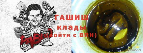 шишки Михайловск