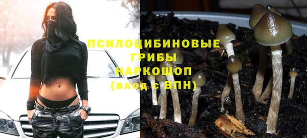 шишки Михайловск