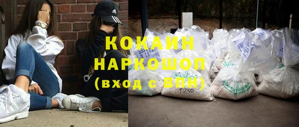 индика Наволоки