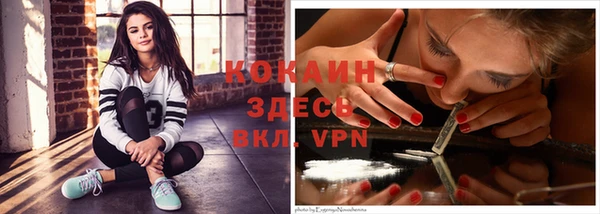 шишки Михайловск